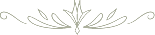 vector 1.png